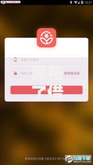 黑花了借款的口子哪里有？正规渠道与风险防范指南