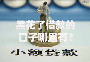 黑花了借款的口子哪里有？正规渠道与风险防范指南