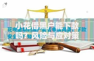 小花借黑户能下款吗？风险与应对策略解析