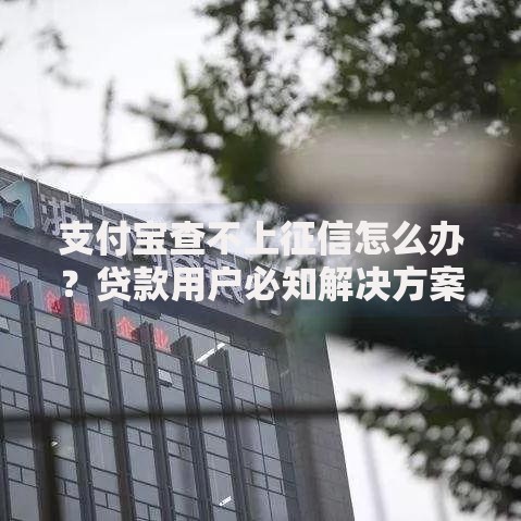 支付宝查不上征信怎么办？贷款用户必知解决方案