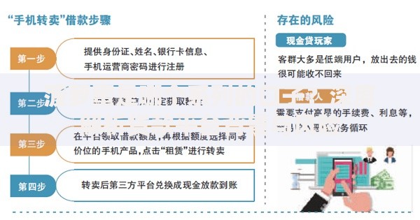 菠萝蜜是哪个系列的口子？深度解析贷款平台背景与风险