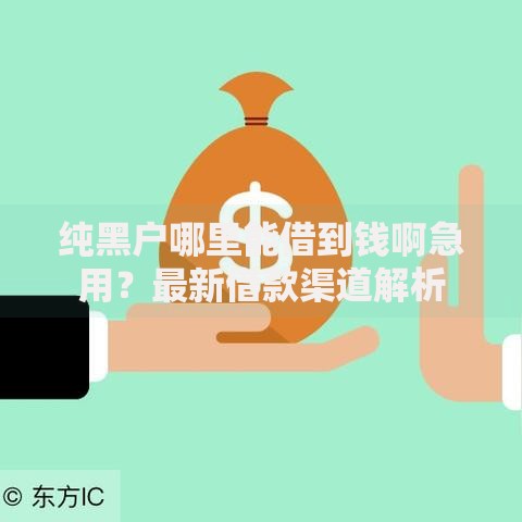 纯黑户哪里能借到钱啊急用？最新借款渠道解析