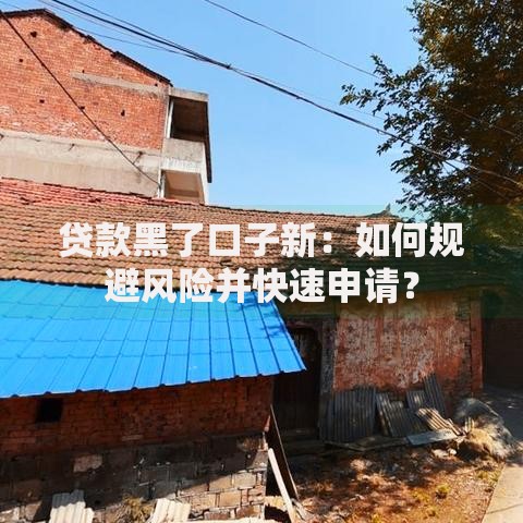 贷款黑了口子新：如何规避风险并快速申请？