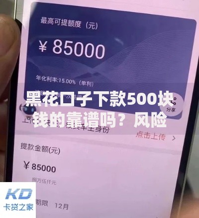 黑花口子下款500块钱的靠谱吗？风险防范与真实案例解析