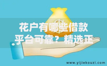 花户有哪些借款平台可靠？精选正规渠道解析