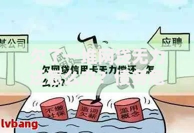 欠了一堆网贷无力还怎么办？债务危机应对策略深度解析