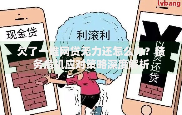 欠了一堆网贷无力还怎么办？债务危机应对策略深度解析