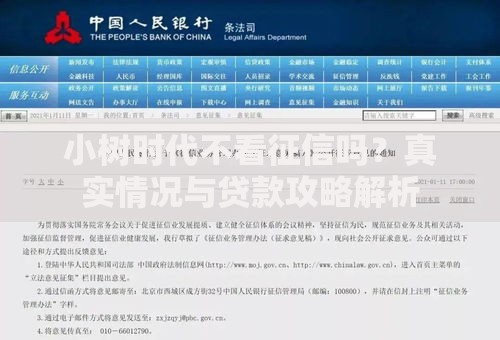 小树时代不看征信吗？真实情况与贷款攻略解析