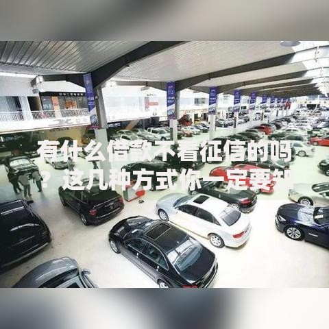 有什么借款不看征信的吗?这几种方式你一定要知道 有什么借款不看征信的吗?这几种方式你一定要知道