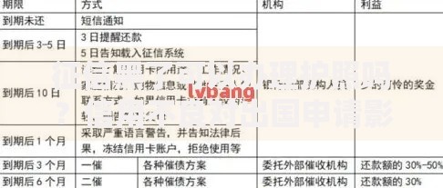 征信黑了可以办理护照吗？信用不良对出国申请影响解析