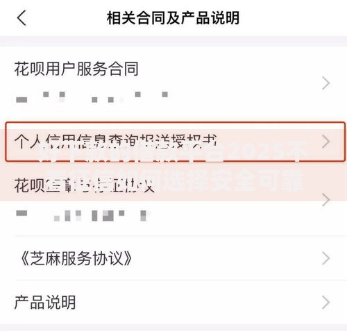 好下款的借款平台2025不看征信如何选择安全可靠渠道？