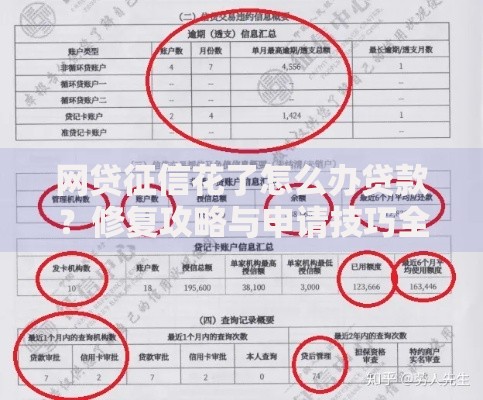 网贷征信花了怎么办贷款？修复攻略与申请技巧全解析