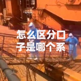 怎么区分口子是哪个系列？从这5大核心维度精准判断