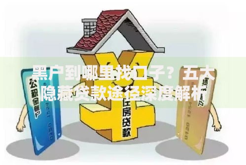 黑户到哪里找口子？五大隐藏贷款途径深度解析