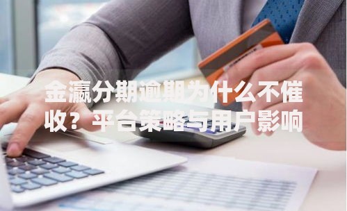 金瀛分期逾期为什么不催收？平台策略与用户影响全解析