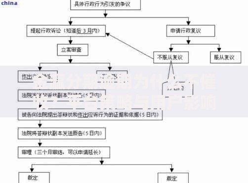 金瀛分期逾期为什么不催收？平台策略与用户影响全解析