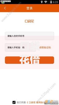 口袋花借款app下载如何安全操作？正规流程解析