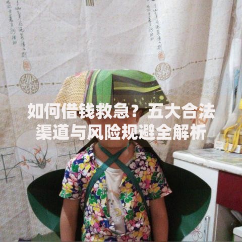 如何借钱救急？五大合法渠道与风险规避全解析
