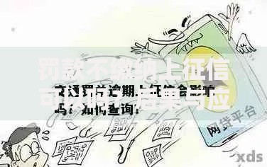 罚款不缴纳上征信可以吗？后果与应对措施全面解析