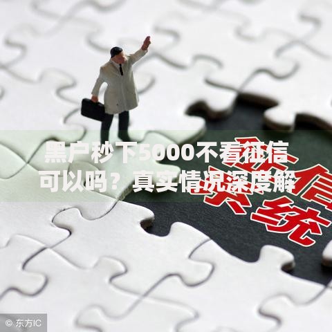 黑户秒下5000不看征信可以吗？真实情况深度解析