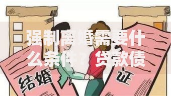 强制离婚需要什么条件？贷款债务分割流程全解析