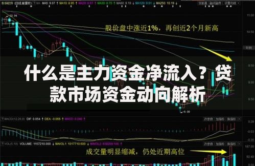 什么是主力资金净流入？贷款市场资金动向解析