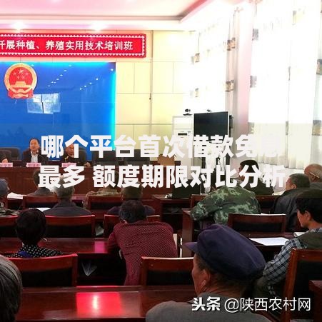 哪个平台首次借款免息最多 额度期限对比分析