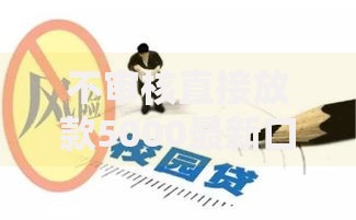 不审核直接放款5000最新口子2025正规平台深度测评