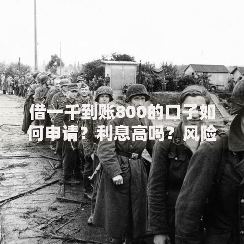 借一千到账800的口子如何申请？利息高吗？风险解析