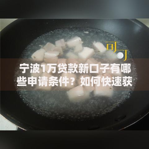 宁波1万贷款新口子有哪些申请条件？如何快速获批？