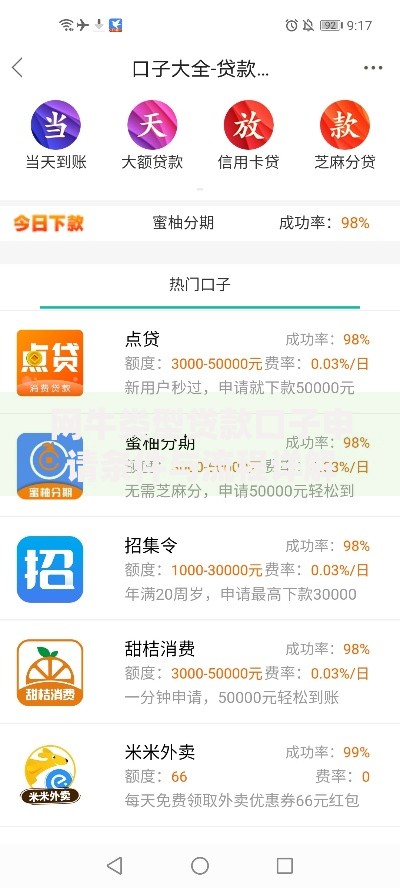 网牛类型贷款口子申请条件与流程详解