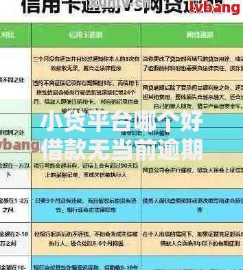 小贷平台哪个好借款无当前逾期？精选平台及避坑指南