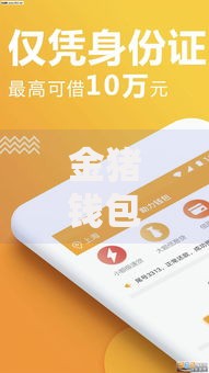 金猪钱包是哪个系列口子？全面解析产品背景与特点