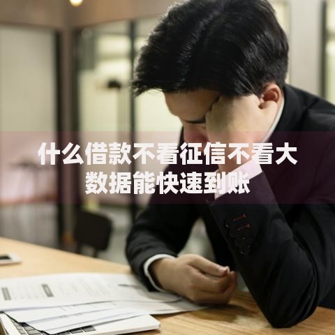 什么借款不看征信不看大数据能快速到账