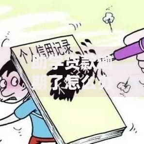 助学贷款逾期了怎么办？后果与补救措施全解析