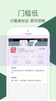 黑了小额贷款口子平台：如何规避风险并保障资金安全？