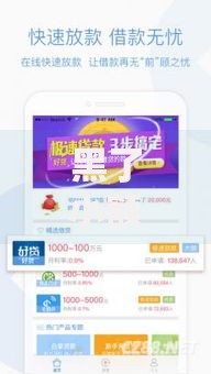 黑了小额贷款口子平台：如何规避风险并保障资金安全？