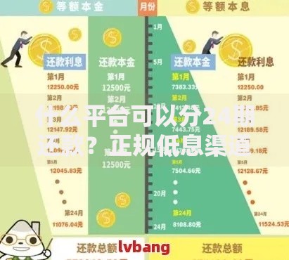 什么平台可以分24期还款？正规低息渠道深度解析