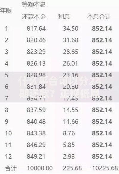 什么平台可以分24期还款？正规低息渠道深度解析