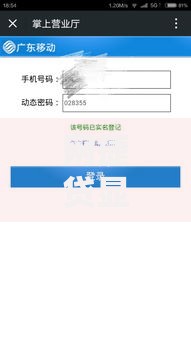 网捷贷显示今日额度已用尽是被拒了么？深度解析背后原因