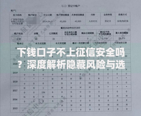 下钱口子不上征信安全吗？深度解析隐藏风险与选择技巧