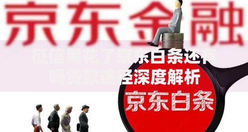 征信黑花了京东白条还有吗贷款途径深度解析