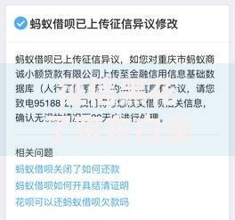 征信黑花了京东白条还有吗贷款途径深度解析