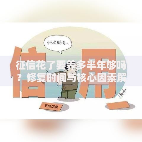 征信花了要养多半年够吗？修复时间与核心因素解析