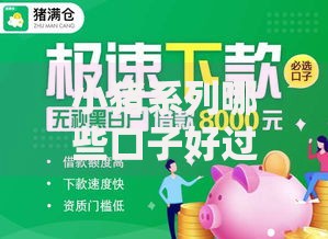 小猪系列哪些口子好过？通过率高且安全可靠的借款渠道解析