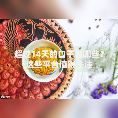 超过14天的口子有哪些？这些平台值得关注