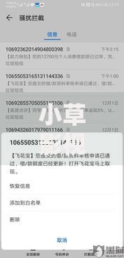 小草影视最新版下款如何申请？正规贷款平台解析与使用指南