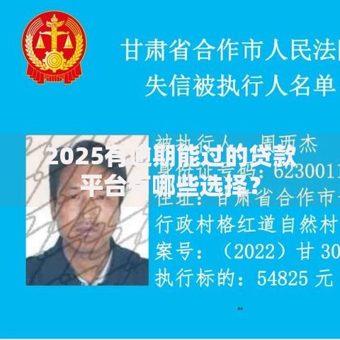 2025有逾期能过的贷款平台有哪些选择? 2025有逾期能过的贷款平台有哪些选择?