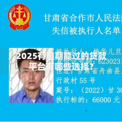 2025有逾期能过的贷款平台有哪些选择? 2025有逾期能过的贷款平台有哪些选择?