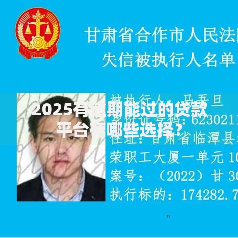 2025有逾期能过的贷款平台有哪些选择? 2025有逾期能过的贷款平台有哪些选择?